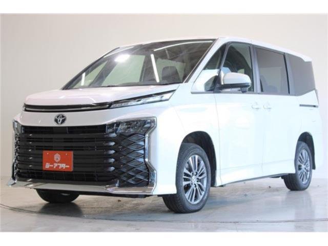 ヴォクシー(新潟県新潟市東区)