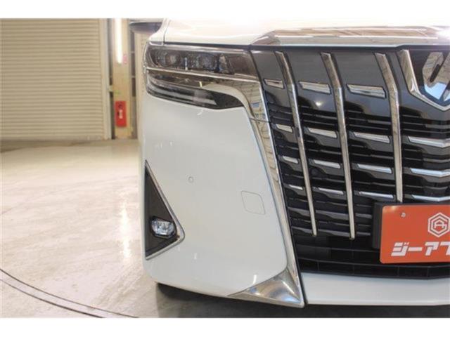 アルファード(新潟県新潟市東区)