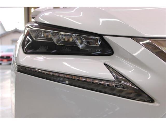 レクサスNX(新潟県新潟市東区)