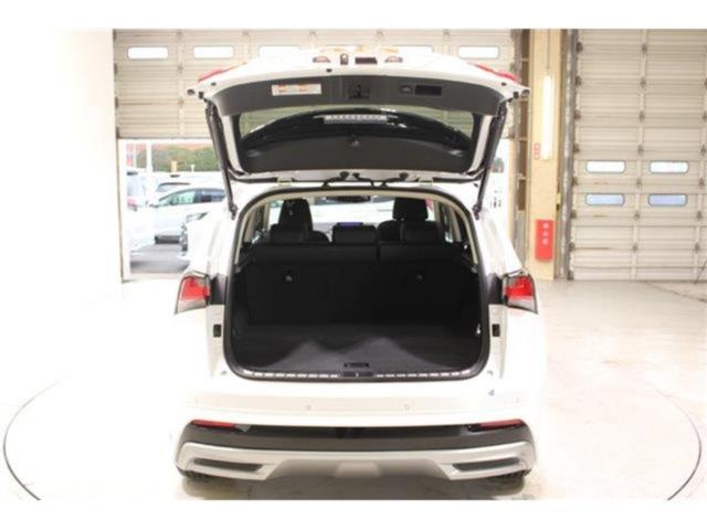 レクサスNX(新潟県新潟市東区)