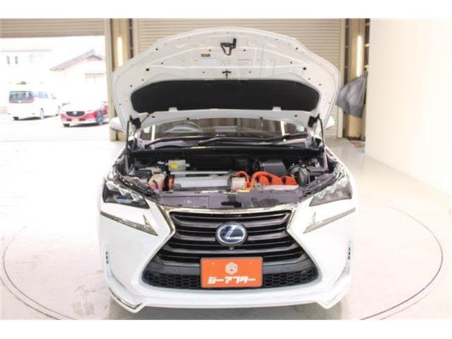 レクサスNX(新潟県新潟市東区)