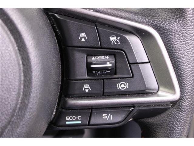 フォレスター(新潟県新潟市東区)