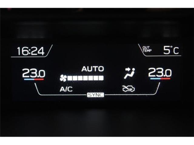 フォレスター(新潟県新潟市東区)