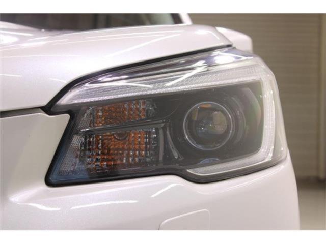 フォレスター(新潟県新潟市東区)