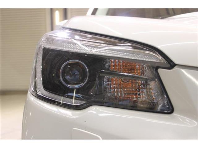 フォレスター(新潟県新潟市東区)