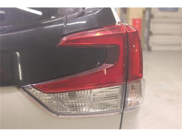 フォレスター(新潟県新潟市東区)