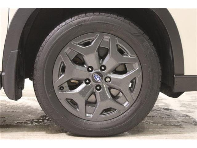 フォレスター(新潟県新潟市東区)