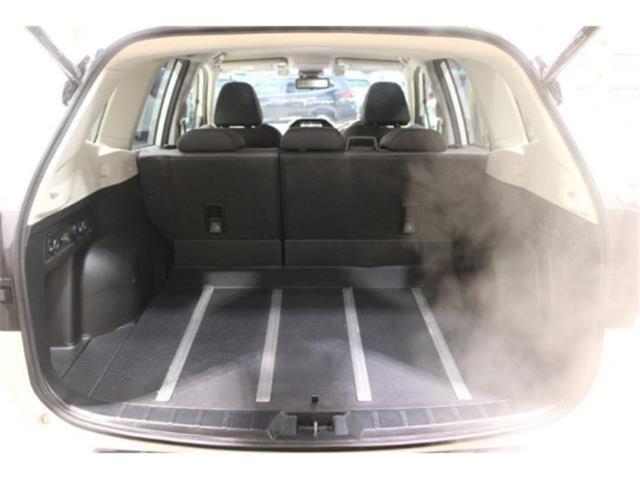 フォレスター(新潟県新潟市東区)