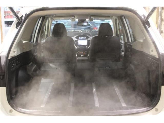 フォレスター(新潟県新潟市東区)