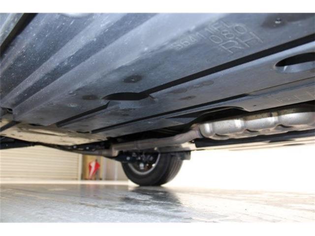 フォレスター(新潟県新潟市東区)