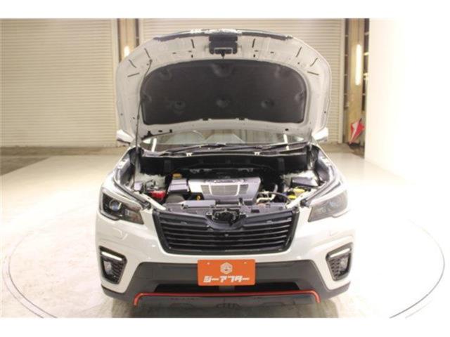 フォレスター(新潟県新潟市東区)