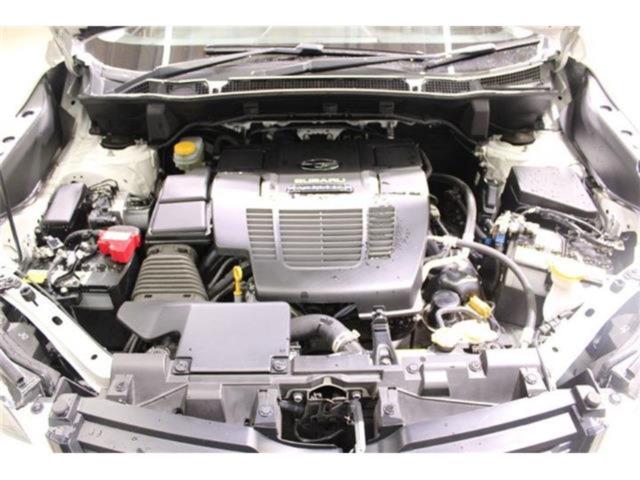 フォレスター(新潟県新潟市東区)