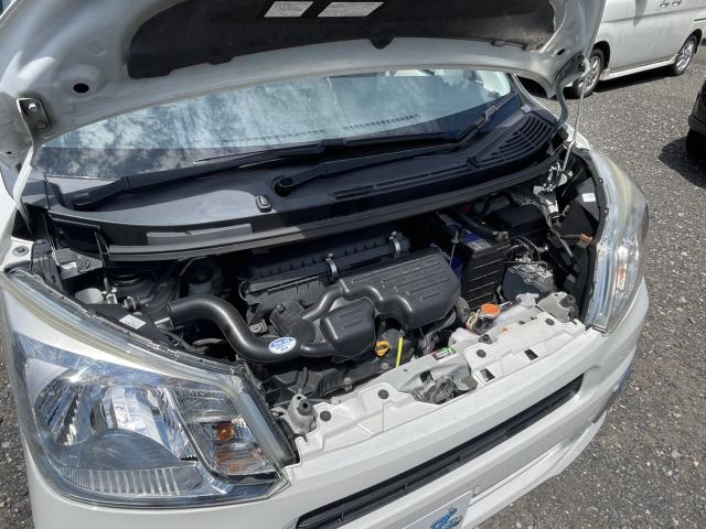 ムーヴ(新潟県新潟市東区)