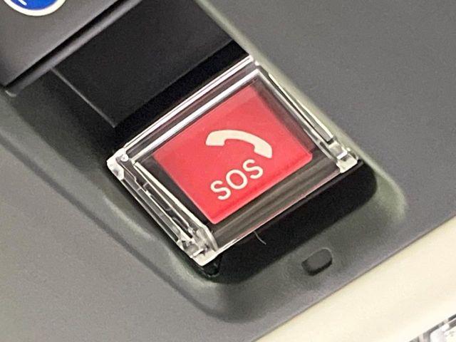 N_BOX(新潟県長岡市)