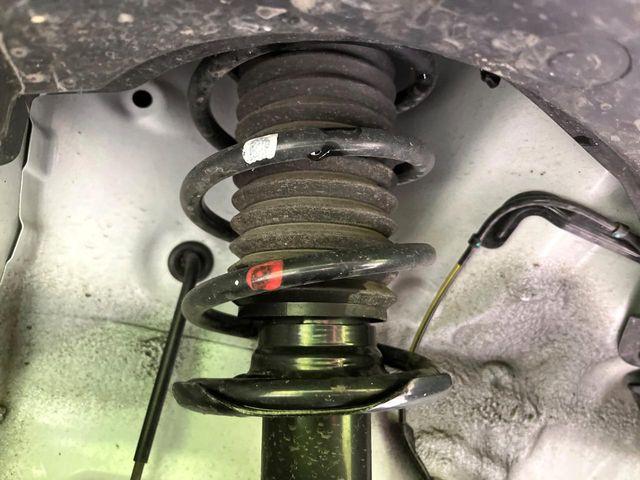 タフト(新潟県新潟市東区)