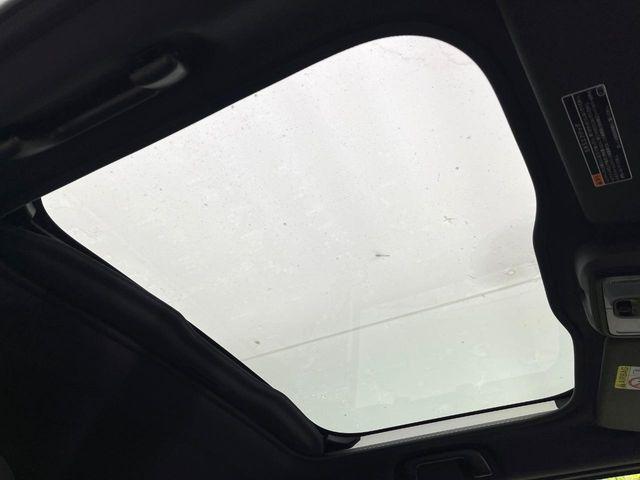 タフト(新潟県新潟市東区)