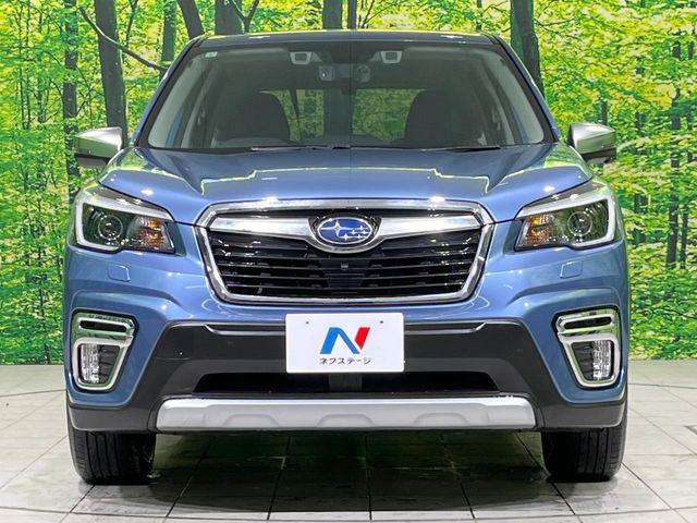 フォレスター(新潟県長岡市)