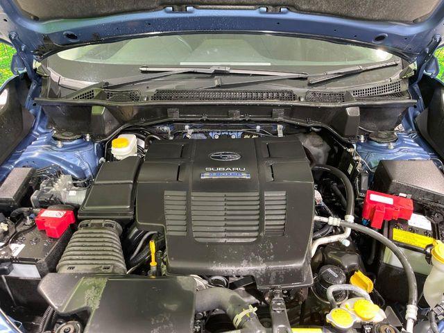 フォレスター(新潟県長岡市)