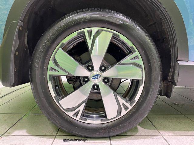 フォレスター(新潟県長岡市)