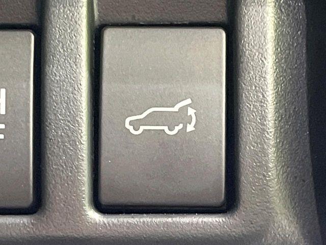 フォレスター(新潟県長岡市)