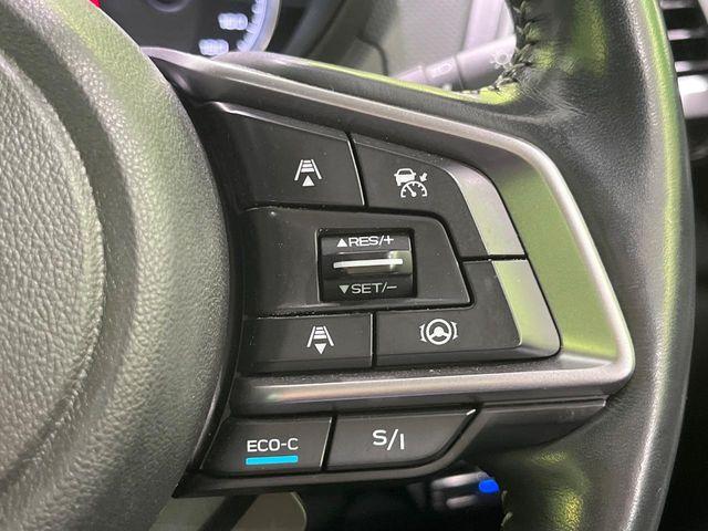 フォレスター(新潟県長岡市)