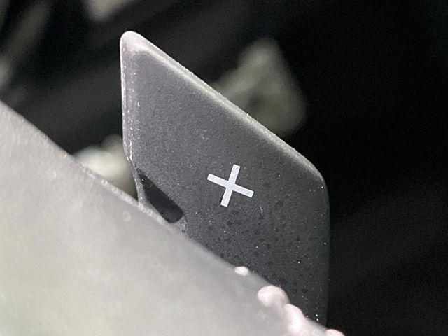 フォレスター(新潟県長岡市)