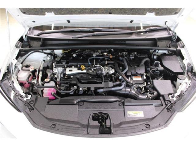 プリウス（新潟県新潟市東区）