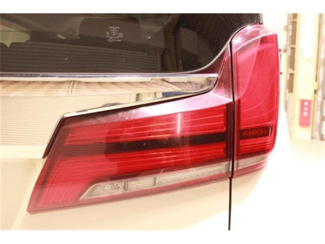 アルファード(新潟県新潟市東区)