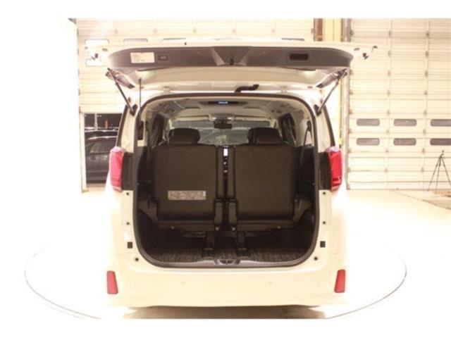 アルファード(新潟県新潟市東区)