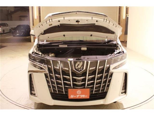 アルファード(新潟県新潟市東区)