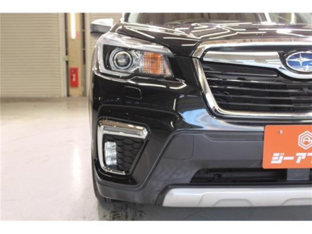 フォレスター(新潟県新潟市東区)