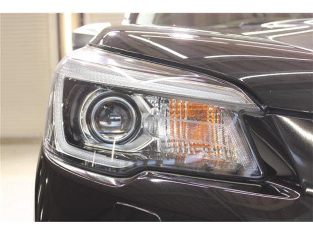 フォレスター(新潟県新潟市東区)