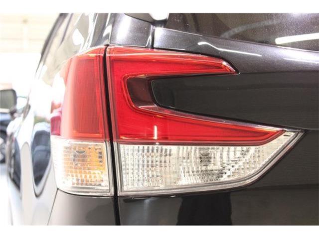 フォレスター(新潟県新潟市東区)