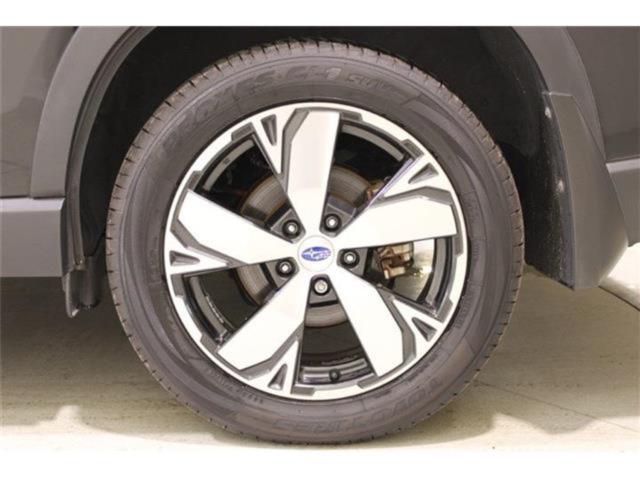 フォレスター(新潟県新潟市東区)