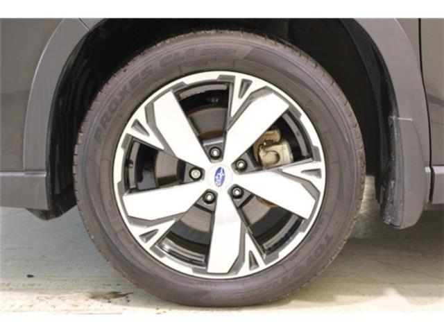 フォレスター(新潟県新潟市東区)