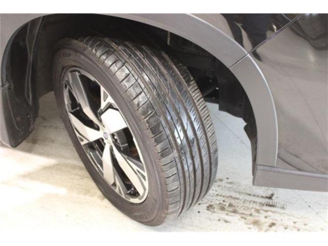 フォレスター(新潟県新潟市東区)