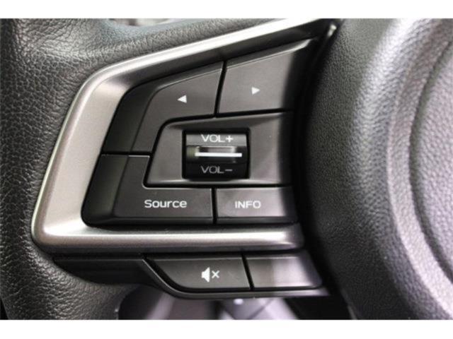 フォレスター(新潟県新潟市東区)