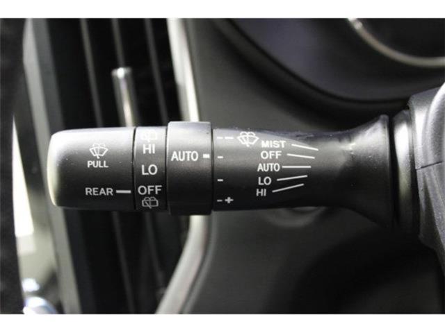 フォレスター(新潟県新潟市東区)