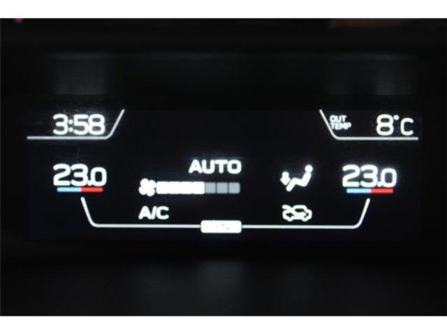 フォレスター(新潟県新潟市東区)