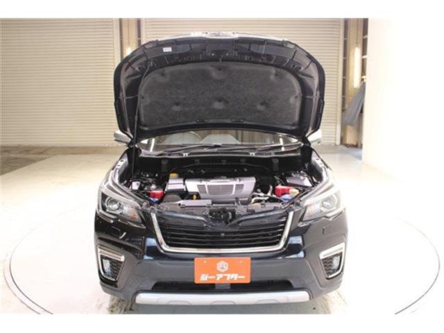 フォレスター(新潟県新潟市東区)