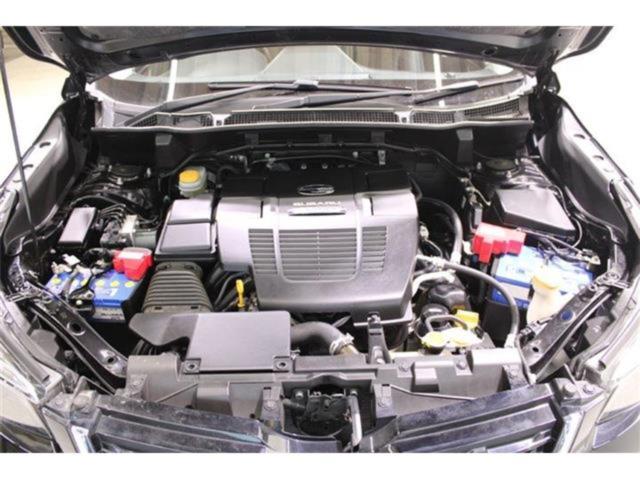 フォレスター(新潟県新潟市東区)