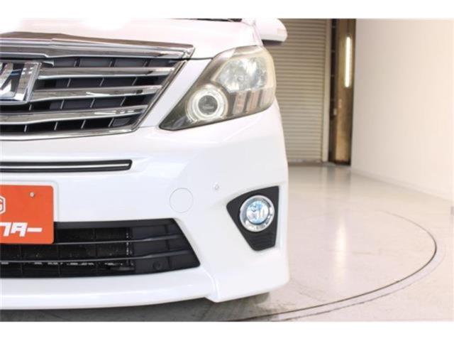 アルファード(新潟県新潟市東区)