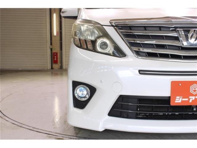 アルファード(新潟県新潟市東区)