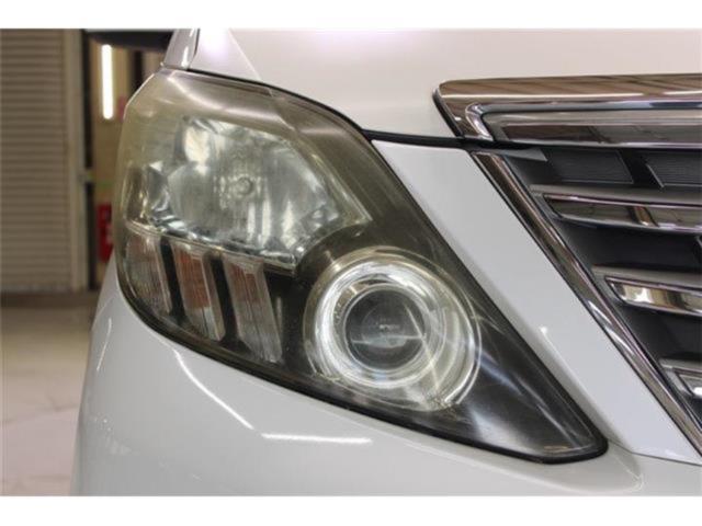 アルファード(新潟県新潟市東区)