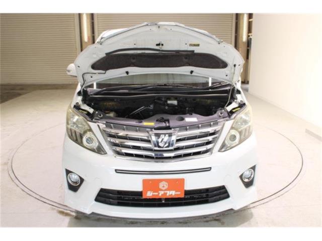 アルファード(新潟県新潟市東区)