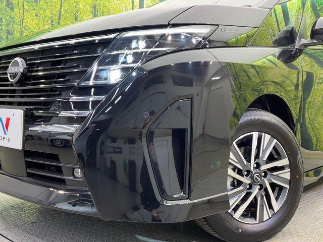 セレナ(新潟県新潟市南区)