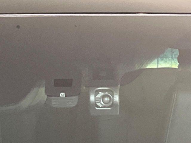 アルファード(新潟県新潟市南区)