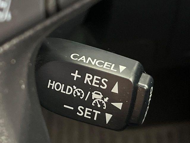 アルファード(新潟県新潟市南区)