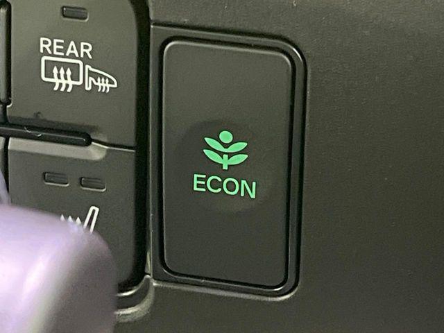 N＿BOX（新潟県長岡市）