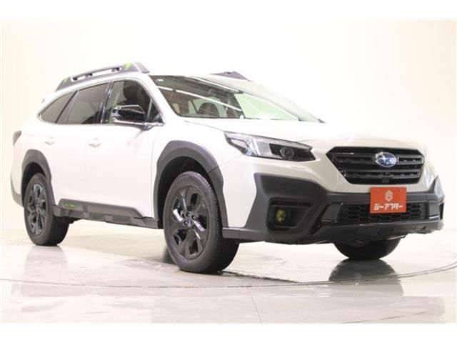 アウトバック（新潟県新潟市東区）画像8